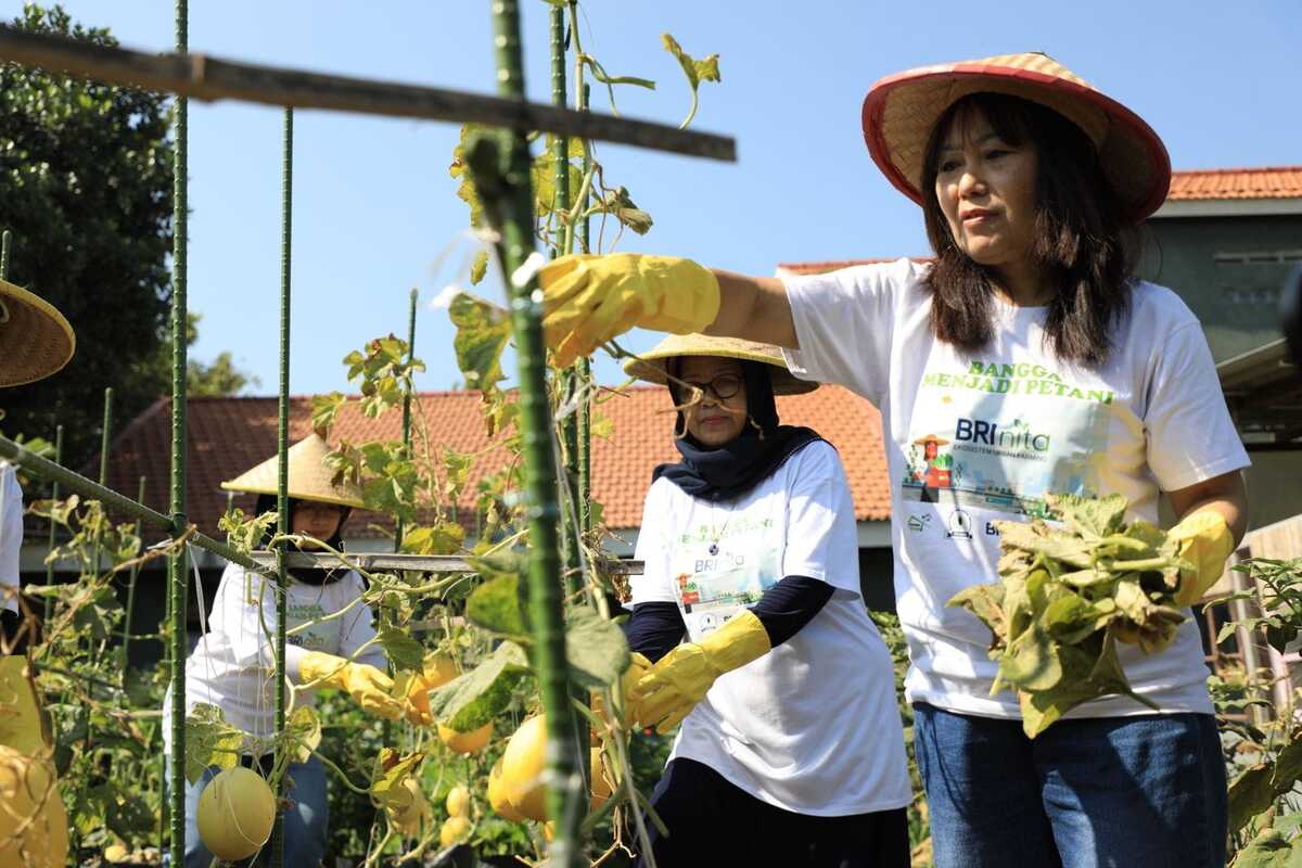 Getol Promosi Kesetaraan Gender, BRI Raih Penghargaan WEPs Award 2024, 