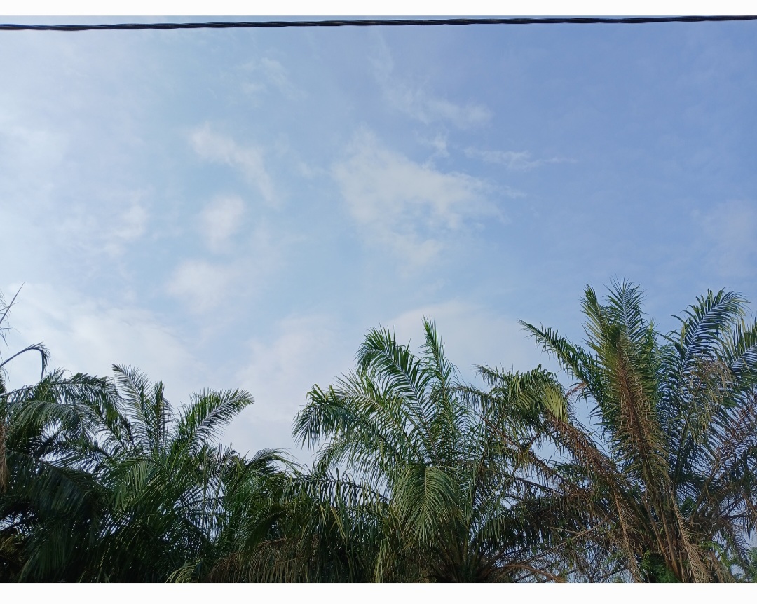 Prakiraan Cuaca Sumsel Hari ini Jumat 22 Agustus 2025: Potensi Hujan Ringan, Sebagian Wilayah Berawan