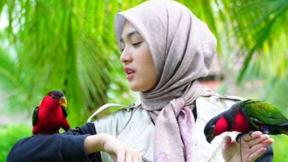 Usai Sinetron Tajwid Cinta Tayang Perdana Cut Syifa Trending di Twitter, Gadis Bekasi yang Disangka dari Aceh