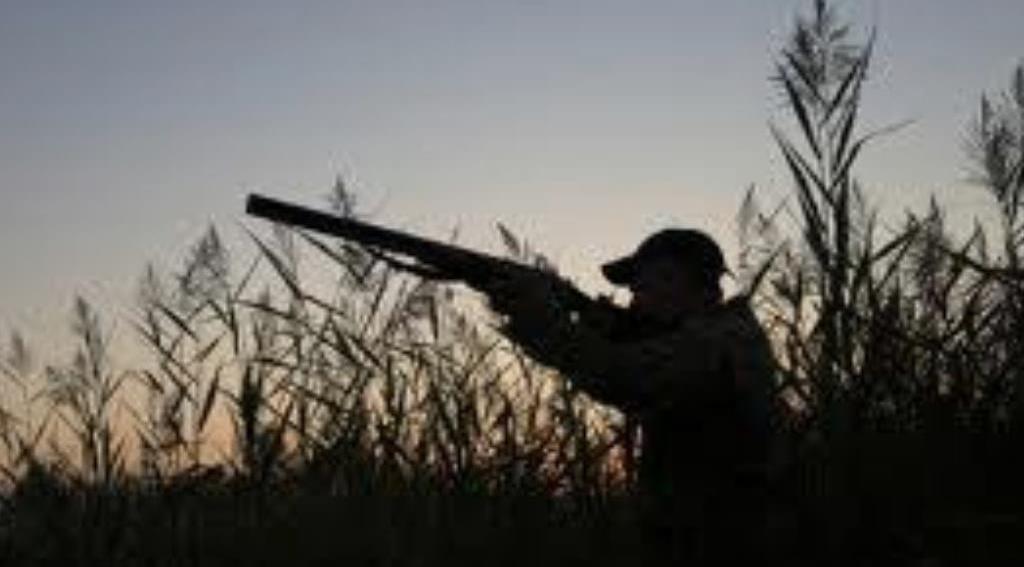 Terjadi di Mekar Sari Ogan Ilir, Mertua dan Menantu Kena Tembak Tetangga Sendiri Di Kebun Semangka, Satu Tewas