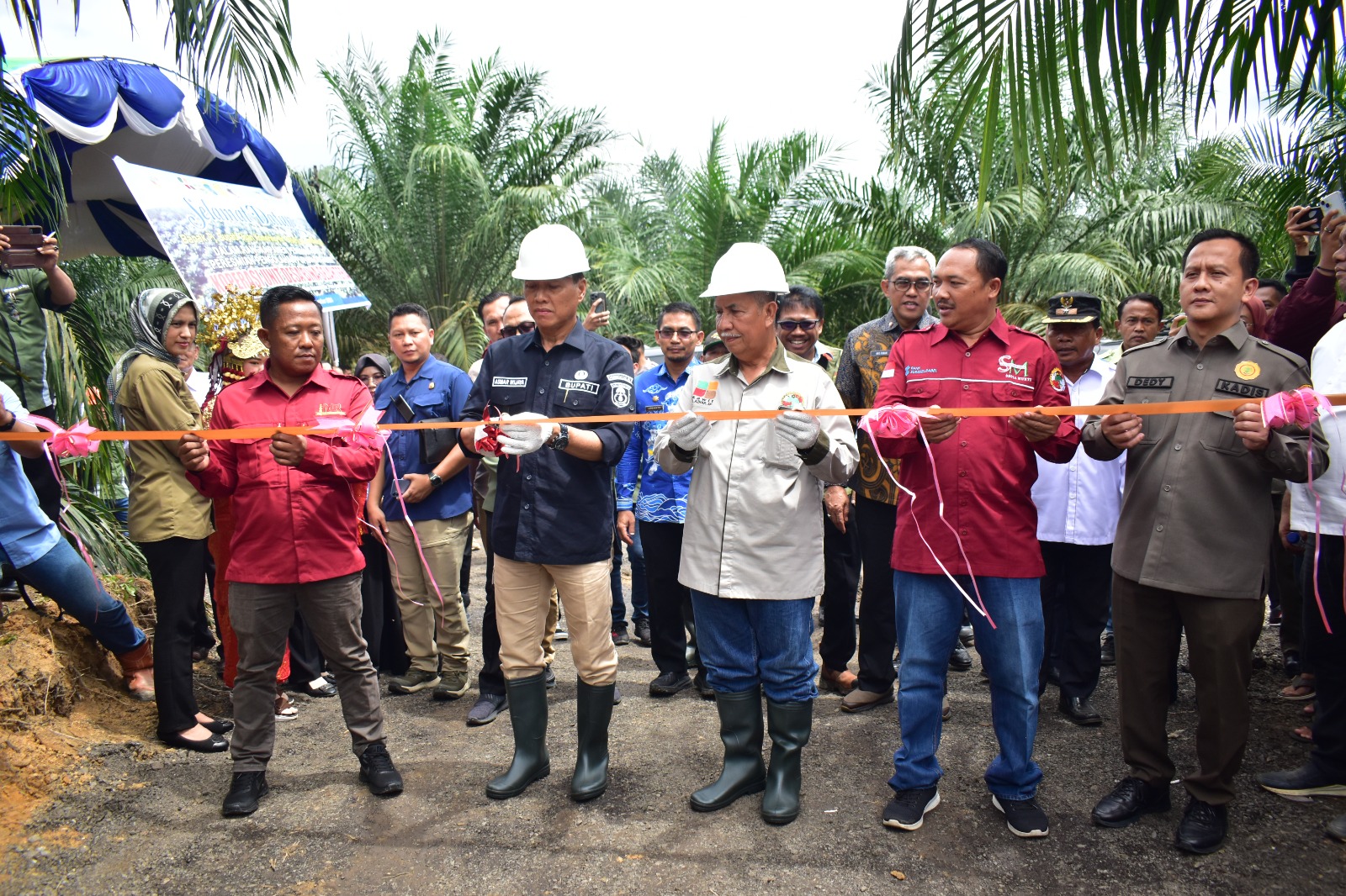 Replanting Sawit Berhasil, Senyum Petani OKI Mengembang