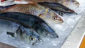 5 Tips Menyimpan Ikan di Kulkas agar Tidak Bau, Segar dan Awet Tahan Lama