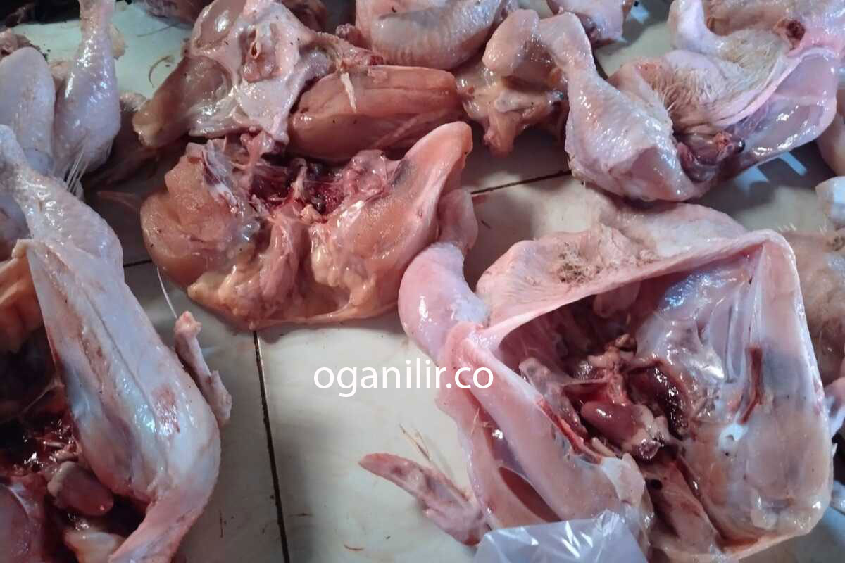 Mengonsumsi Ayam Bisa Menyebabkan Kanker? ini Penjelasannya Secara Ilmiah