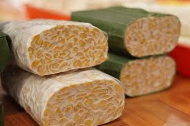Rahasia Menyimpan Tempe Agar Tahan Lama