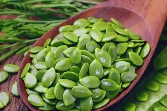 Inilah 9 Manfaat Petai Cina untuk Kesehatan