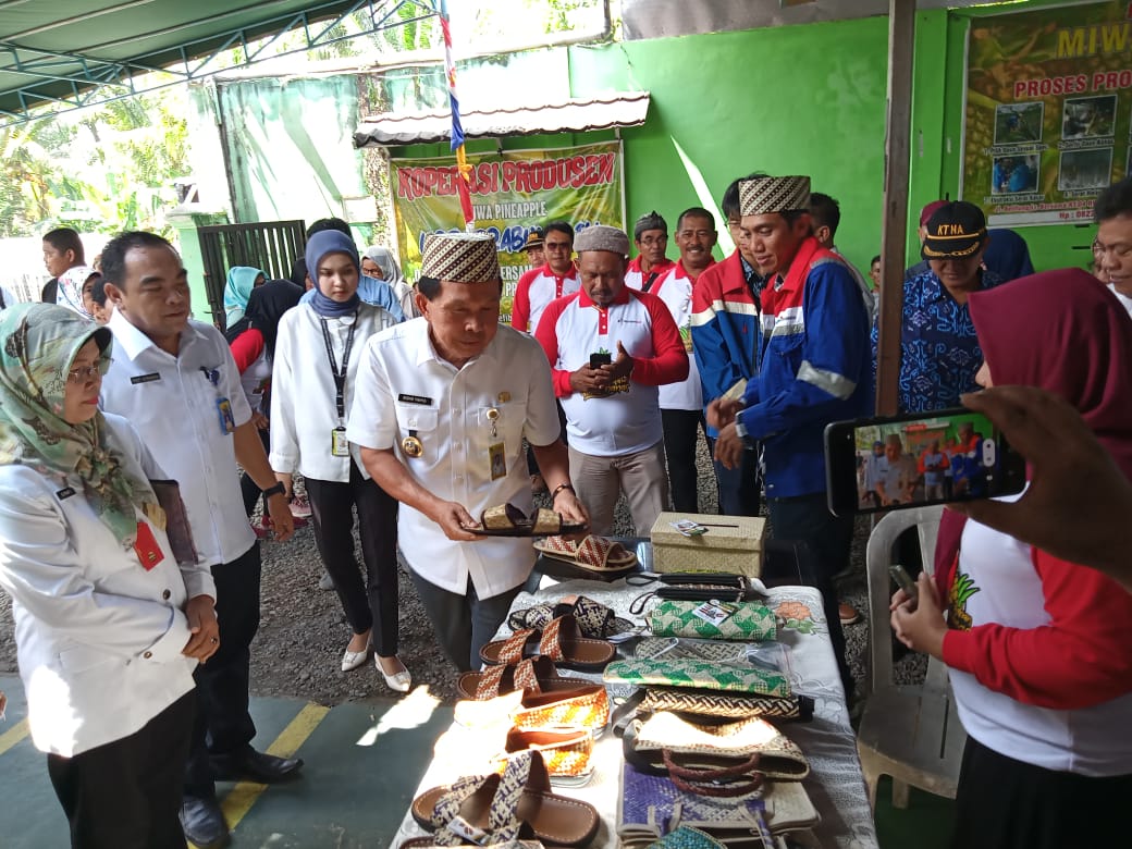 Daun Nanas di Prabumulih Bernilai Ekonomis, ini Jadinya