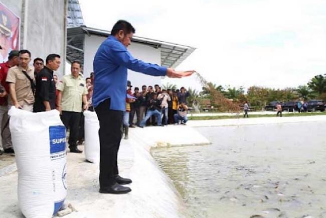 Gubernur Sumsel H Herman Deru Bantu Benih Ikan Air Tawar untuk 72 Kelompok Pembudidaya Ikan di OKU Timur 