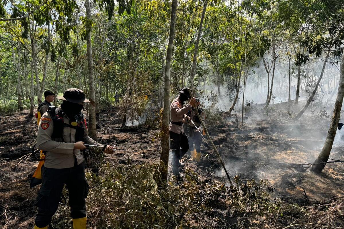 Karhutla di OKI Ancam Kebun Karet Warga, Kapolres Keluarkan Strategi Pemadaman 