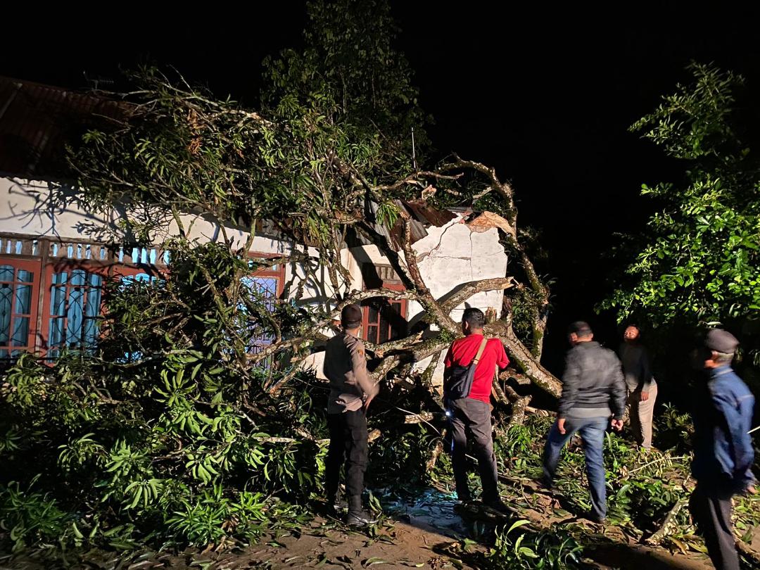 Terjadi Di Tanjung Raja, Rumah Permanen Nyaris Roboh Ditimpa Pohon Tumbang