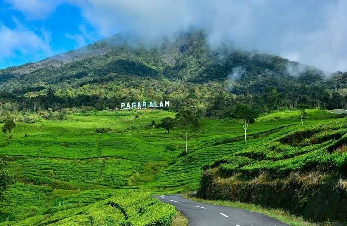 Pesona Keindahan Alam dan Kesejukan di Kota Pagaralam, Menjadi Pilihan Terbaik Untuk Berlibur 