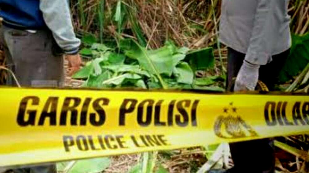 Masih Belum Jelas Identitas Mayat Mr X Berbaju Batik di Kebun Sawit di OKU Selatan, Semoga Cepat Terungkap 