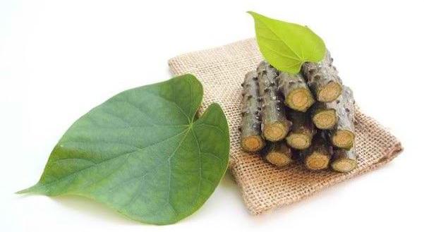 Catat, ini 3 Bahan Alami untuk Redahkan Asam Urat