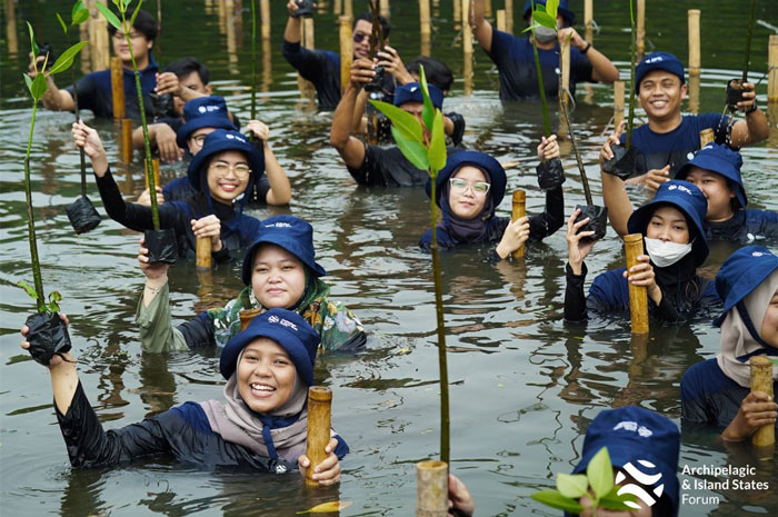 Peringati Hari Mangrove Internasional, AIS Forum Lakukan Penanaman dan Pelatihan di 2 Negara