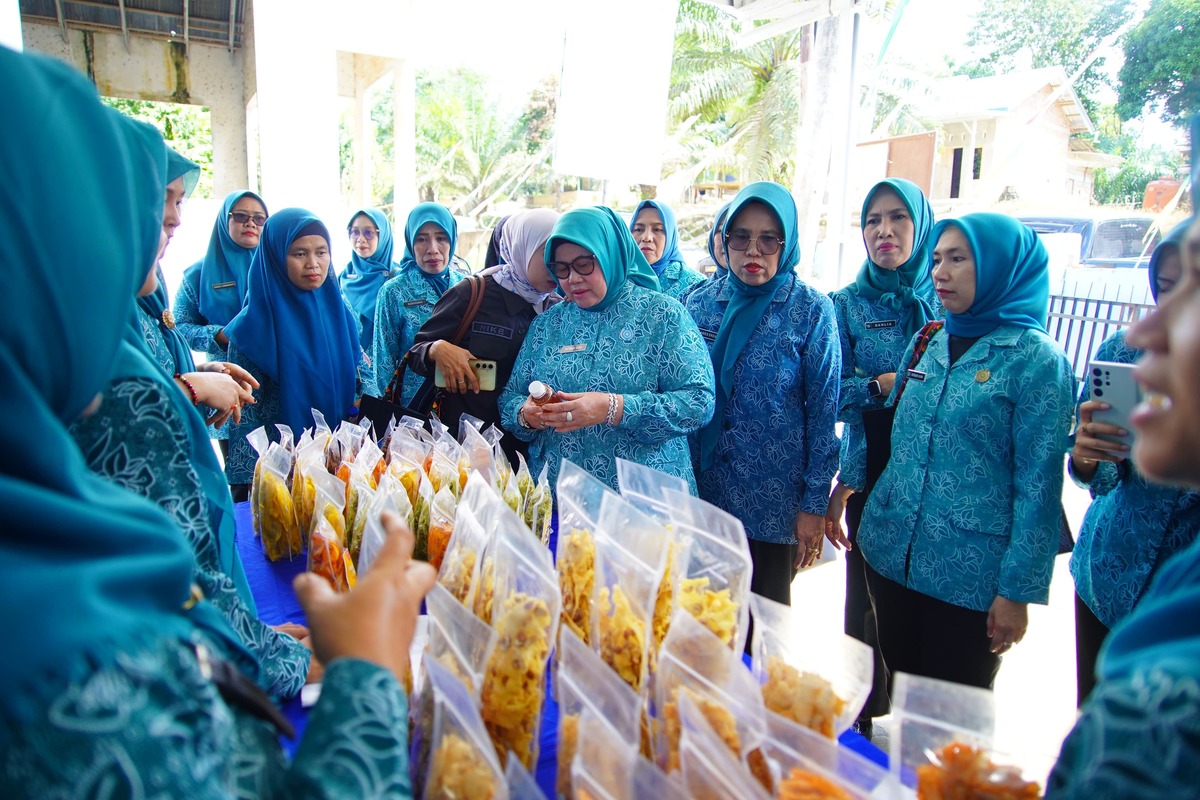 Kunjungi Jirak Jaya, TP PKK Muba Lakukan Pembinaan