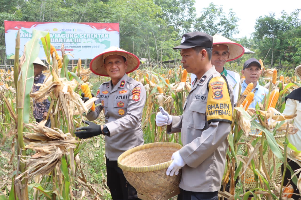 Polres Ogan Ilir Panen Raya Jagung Serentak Kuartal III Tahun 2025