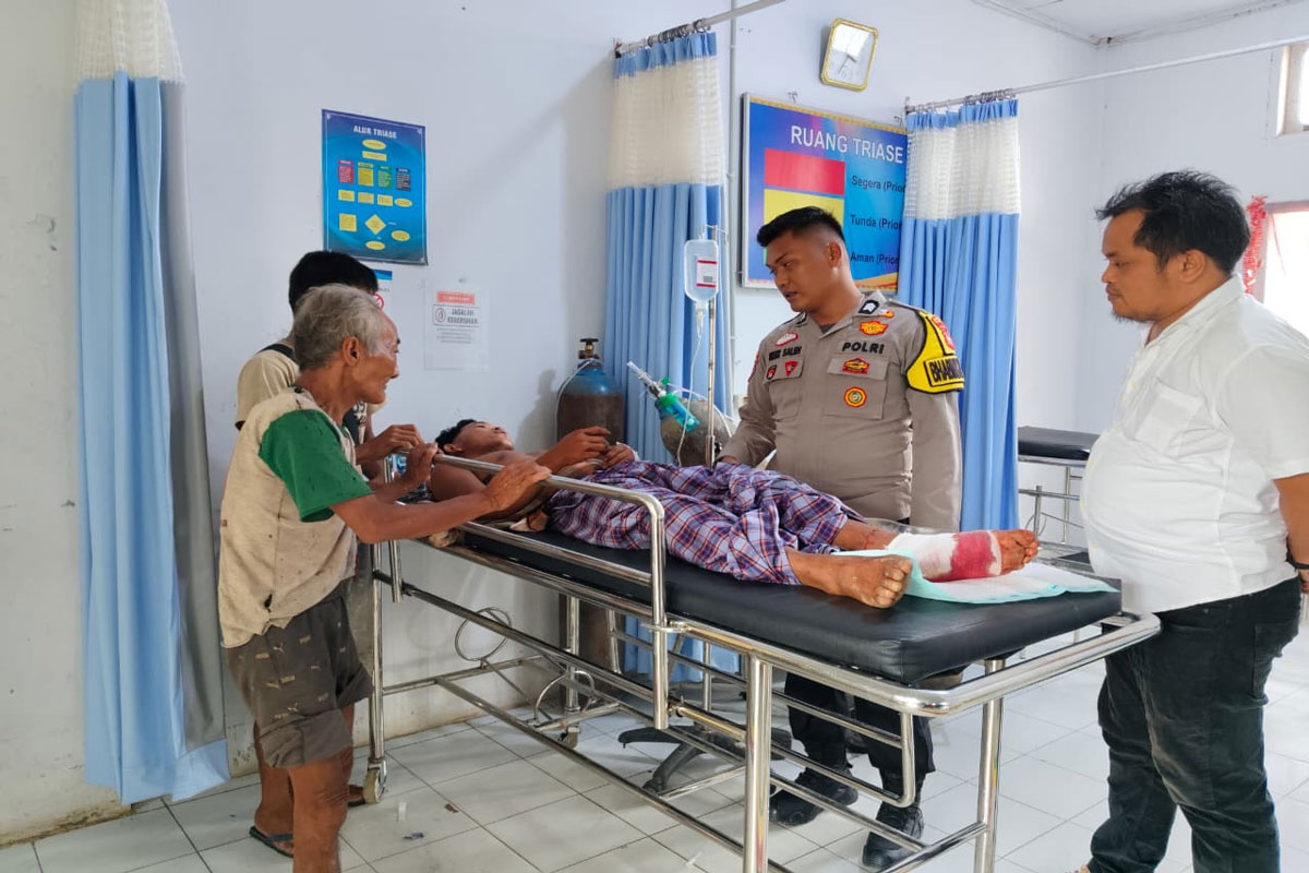 Duel dengan 3 Harimau, Petani Damar di Riau Selamat 