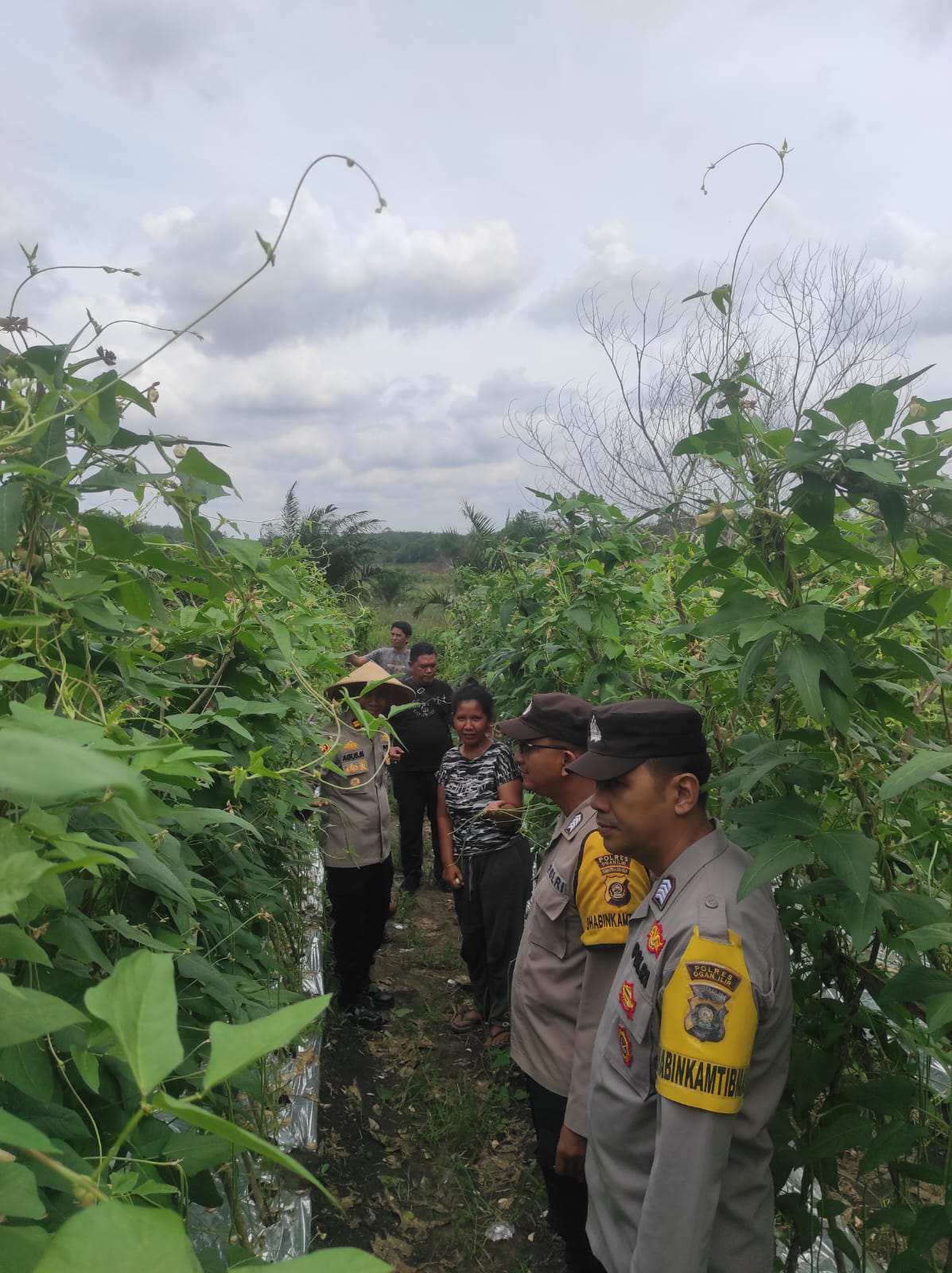 Polsek Rantau Alai Pantau Perkembangan PKP, Budidaya Ikan dan Tanaman Sayuran 