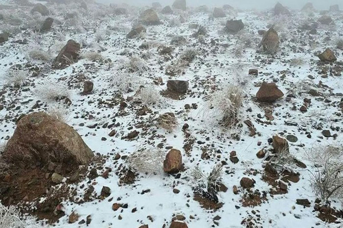 Salju Turun di Arab Saudi, Warga Berbondong-bondong Abadikan Momen Langka