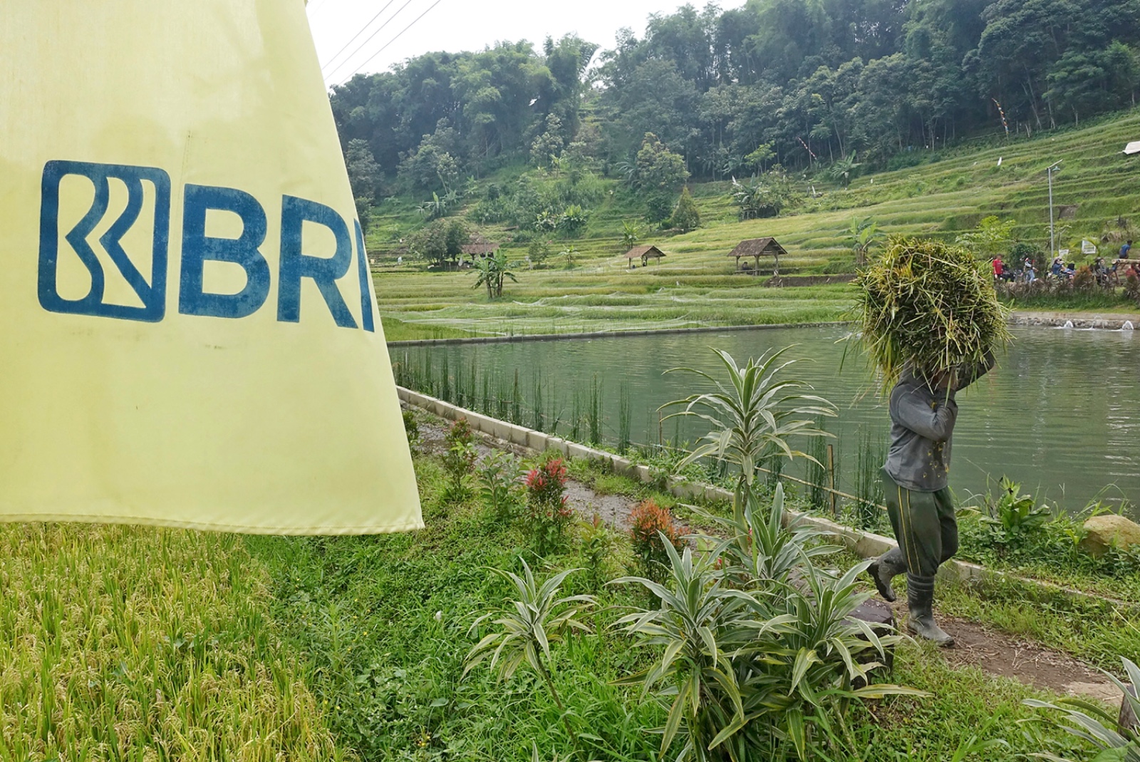 5 Komitmen Nyata BRI Dukung Kemajuan UMKM di Indonesia