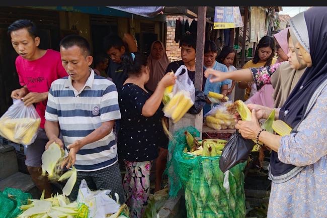 Jelang Tahun Baru di Ogan Ilir, Emak-emak Ramai Borong Jagung, Pedagang Ini Sampai Kewalahan Bawa 6 Karung 