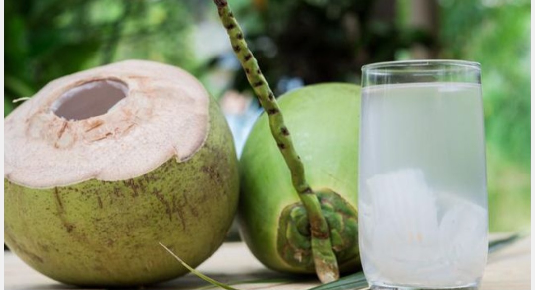 4 Bahaya Minum Air Kelapa Saat Sedang Haid, Wanita Harus Tahu!