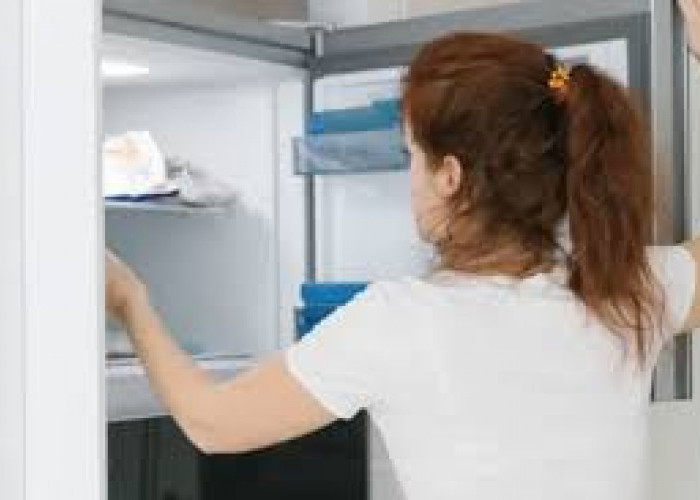3 Tanda dan Cara Mengatasi Freezer yang Terlalu Dingin