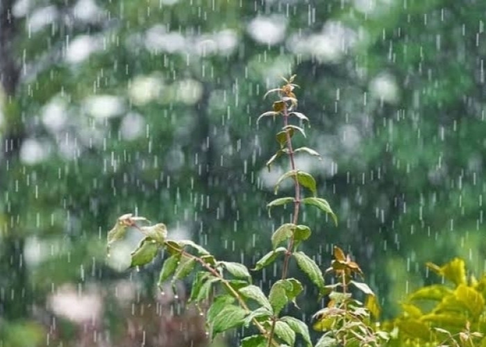 Ogan Ilir dan 11 Wilayah Sumsel Diperkirakan Bakal Hujan Hari ini 