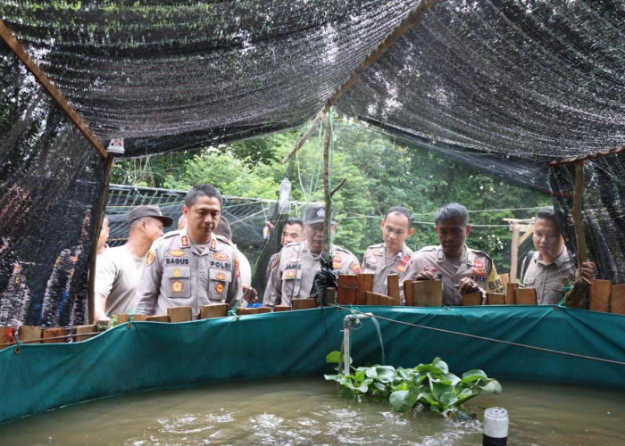 Kapolres Tinjau Budidaya Ikan Polsek Tanjung Batu, Program Ketahanan Pangan Nasional