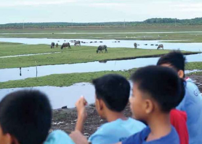 Liburan Nataru di Indonesia Aja, Coba Lihat 100 Paket Wisata Nusantara dari Kemenparekraf, Sumsel Ada Tiga 