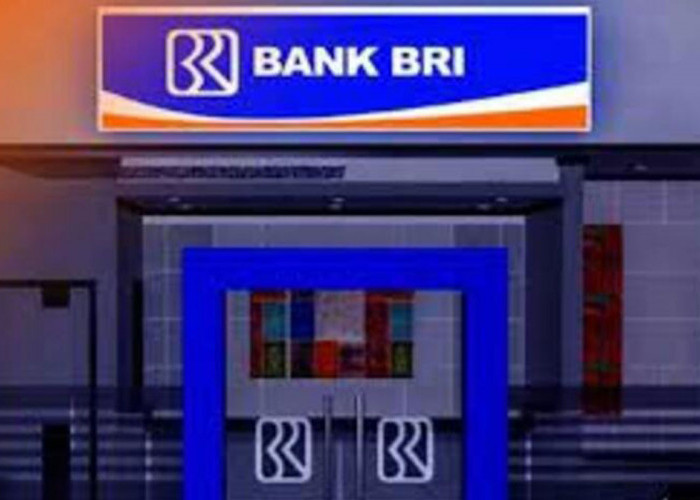 Ajakan Tarik Dana dari Bank HIMBARA Tidak Tepat, ini Alasannya Kata Pengamat