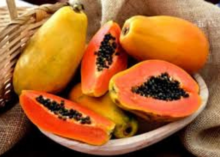 Tak Perlu Lama Lama Menunggu! ini 5 Tips Ampuh Bikin Pepaya Cepat Matang