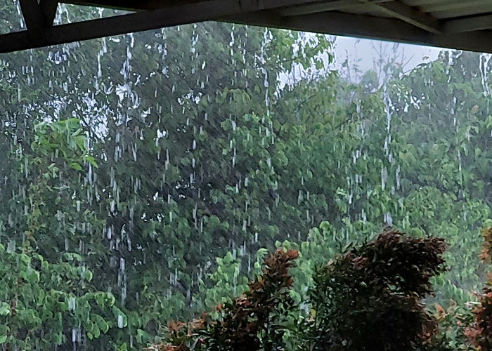 Prakiraan Cuaca Sumsel Hari ini Minggu 7 Desember 2025