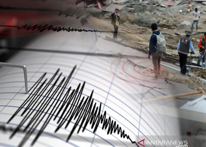 BMKG Mencatat Terjadi 29 Gempa Susulan usai Gempa 7,6 Magnitudo
