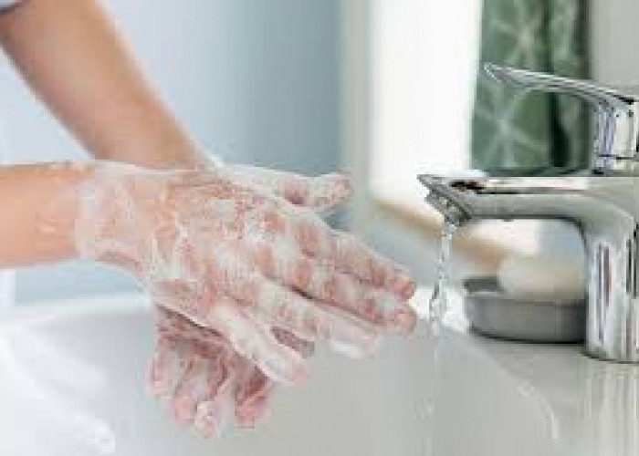 5 Tips Menghilangkan Bau Pelet Ikan di Tangan dengan Mudah