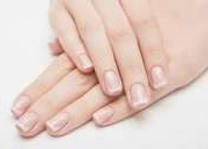 Perhatikan Kondisi Kesehatan dengan Melihat dari Warna Kuku
