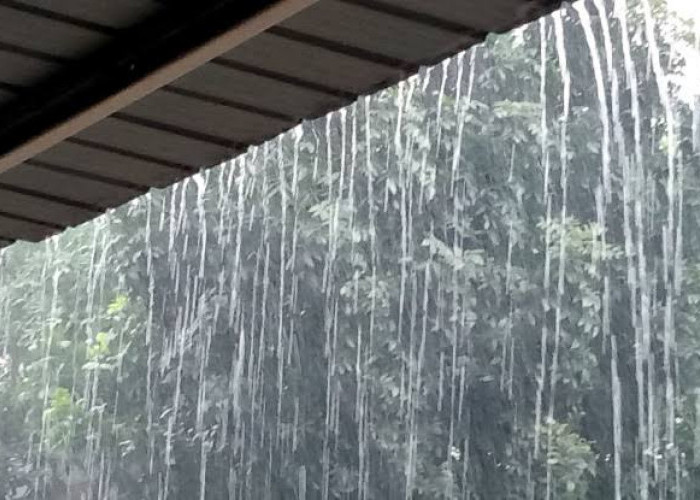 8 Wilayah Sumsel Potensi Hujan Disertai Angin Kencang Hari ini