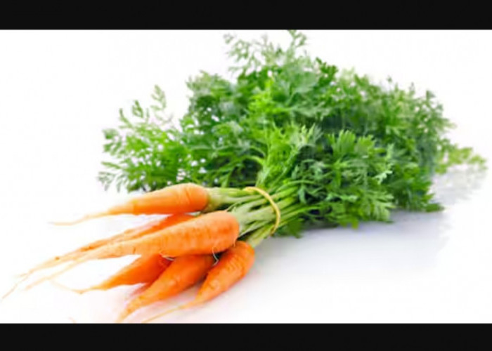 3 Khasiat Daun Wortel yang Jarang Diketahui!