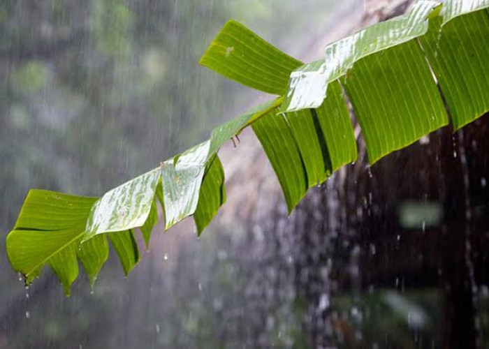 6 Wilayah Sumsel Diperkirakan Bakal Hujan Hari ini 