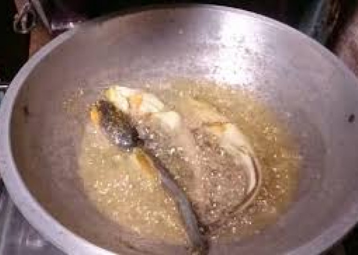 Begini Cara Menggoreng Lele agar Tidak Meletup Letup