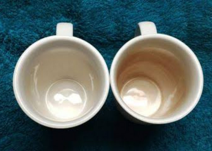 Begini Cara Menghilangkan Noda Bekas pada Cangkir Kopi dan Teh 