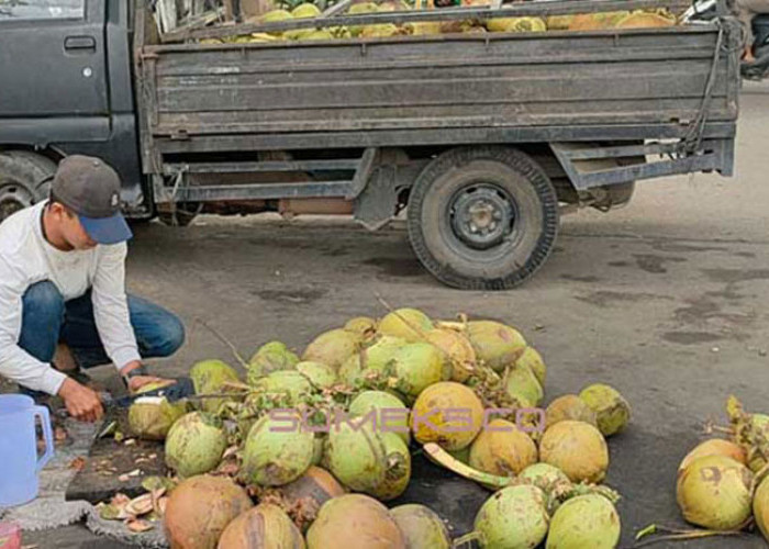 Ini 6 Manfaat Minum Air Kelapa Muda, Nomor 3 Menyerap Racun Dalam Tubuh