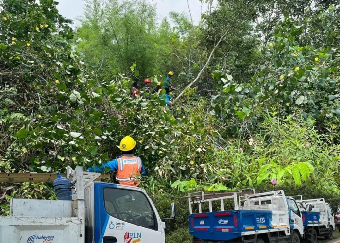 Diterjang Angin Kencang, Tower SUTT Banyuasin Roboh