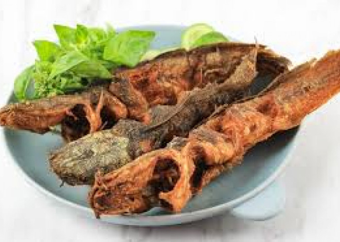 Ternyata ini Rahasia Menggoreng Lele agar Renyah dan Gurih