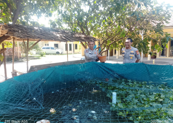 Polsek Pemulutan Kembangkan Budidaya Ikan  Patin