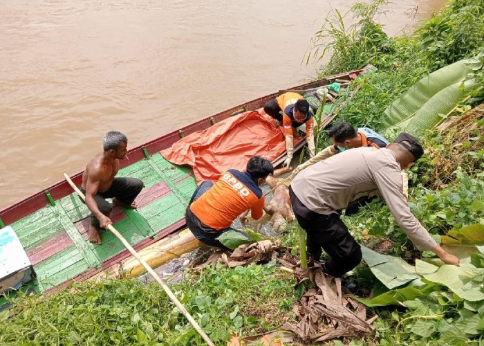 Warga Talang Balai Lama Ogan Illr Heboh, Penemuan Mayat Anak Mengapung di Sungai Ogan