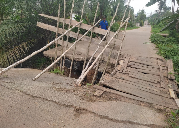 Jembatan di Banyuasin Ambruk tak Kunjung Diperbaiki