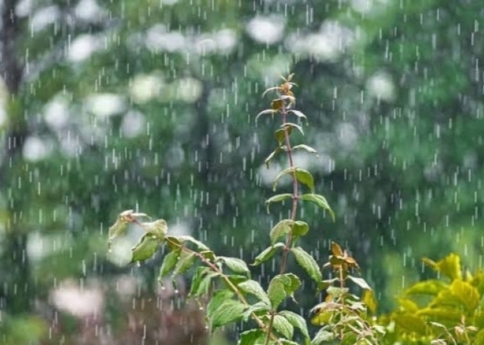 Ogan Ilir dan 7 Wilayah Sumsel Diperkirakan Bakal Hujan Hari ini 