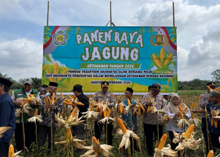 Polres Ogan Ilir Bersama Ponpes Raudhatul Ulum  Panen Raya Jagung