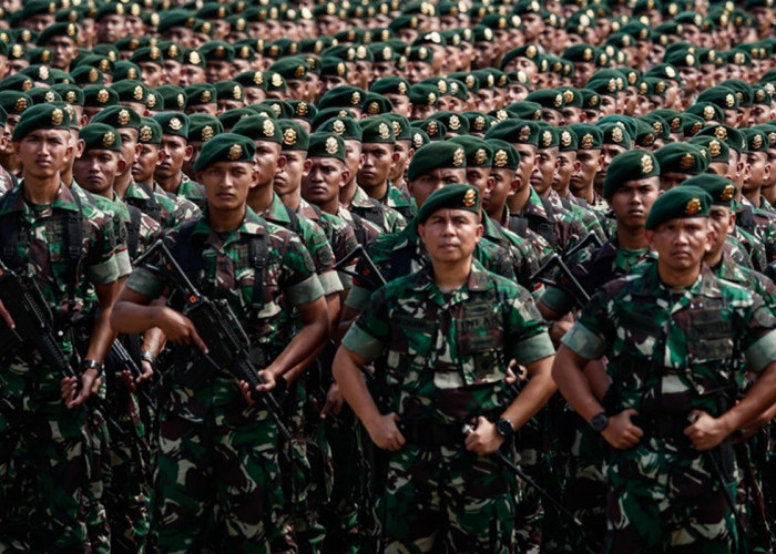 Komisi I Dorong Revisi Aturan Pensiun TNI, Bandingkan dengan AS dan Belanda 