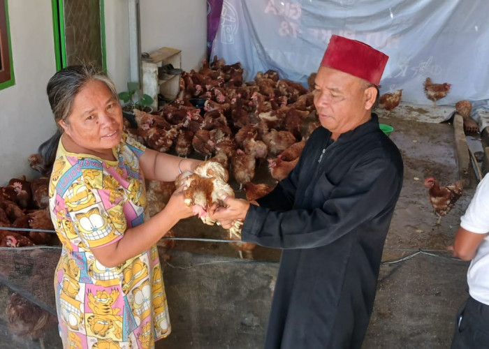 Semarak Ramadhan, Sambut Idul Fitri Warga Dibagi Ayam Merah